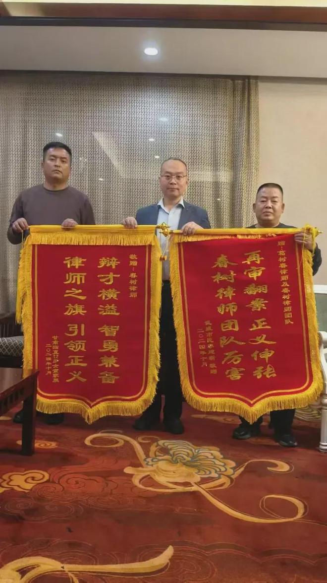 刑事申诉案件实务指南：律师视角下的十三要点与申诉成功案例解析