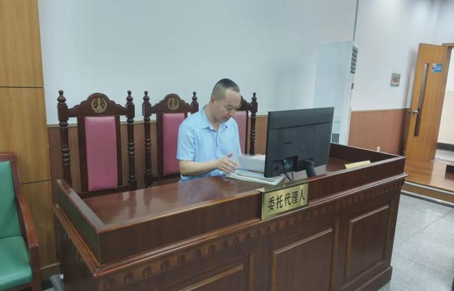 刑事申诉案件实务指南：律师视角下的十三要点与申诉成功案例解析