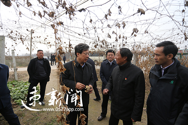 三进农家解民困 看看市长都说了啥？