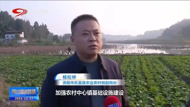 四川新闻联播丨资阳：产城一体 推动城乡“双向奔赴”