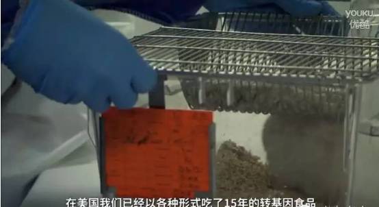 转基因真相 | 崔永元：有人出2亿让我对转基因沉默，饿死也不答应！
