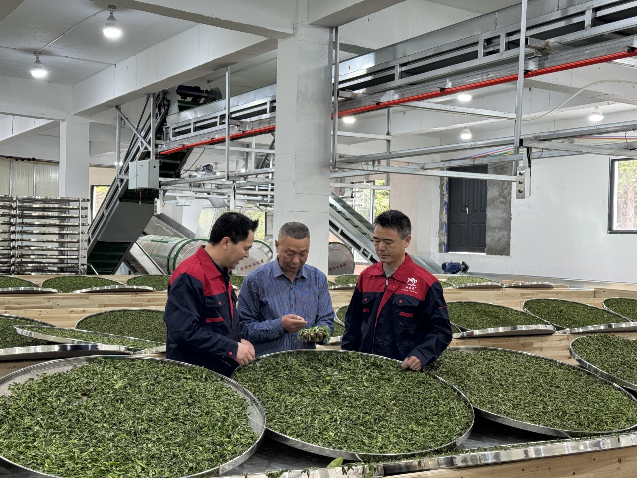 高质量发展调研行｜寿宁：逆流回归“新农人” “半分田”里谋振兴