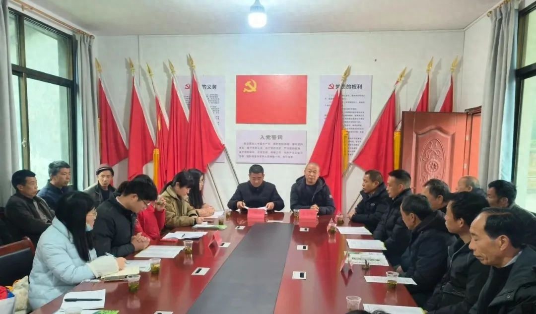 筑牢茶叶质量安全防线，助力寿宁春茶腾飞