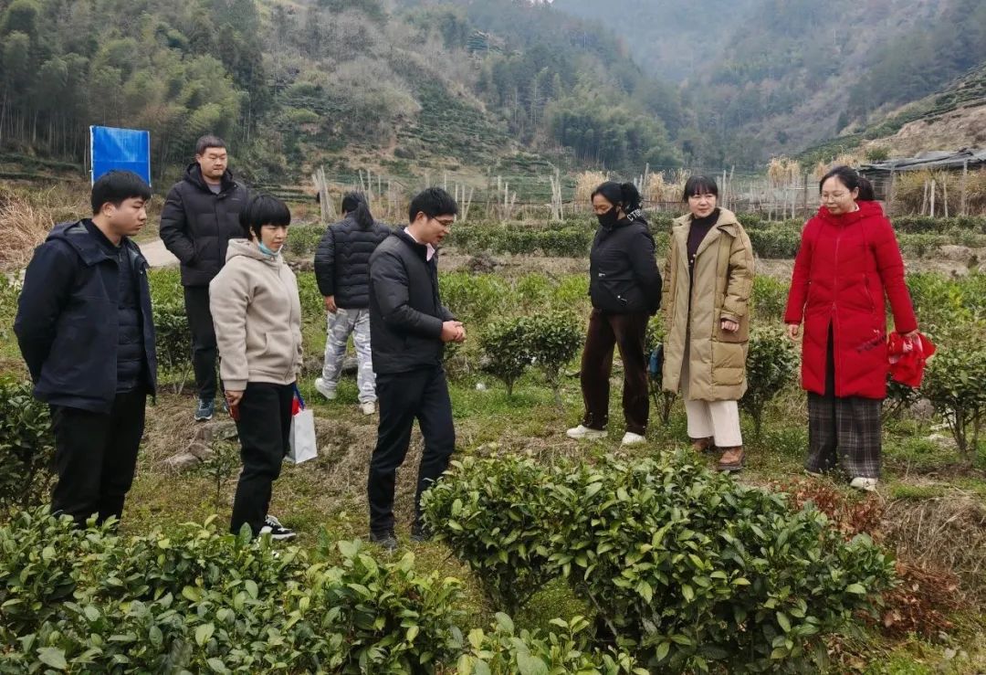 筑牢茶叶质量安全防线，助力寿宁春茶腾飞
