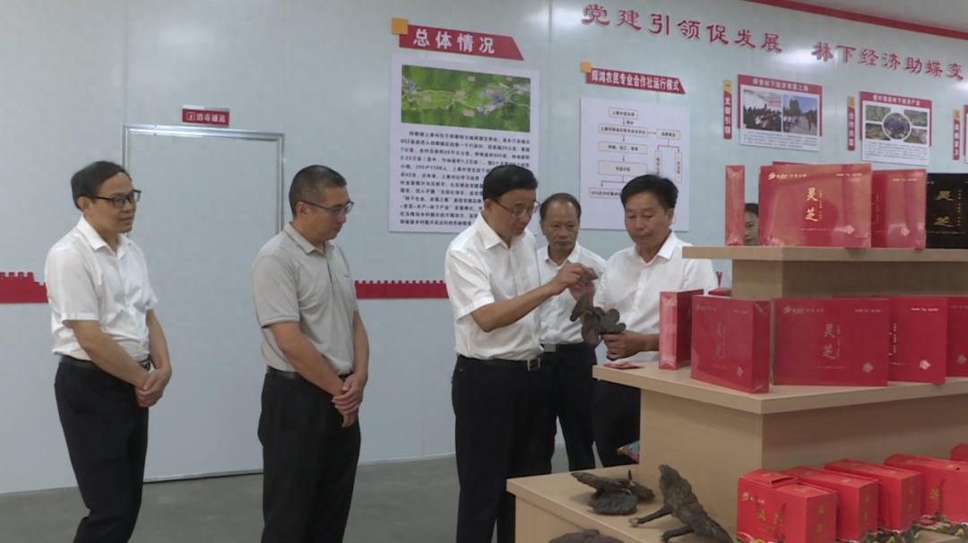 龙岩市人大常委会领导来汀调研