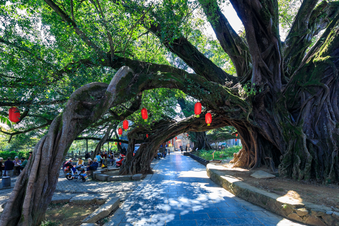 「桂林旅游指引」