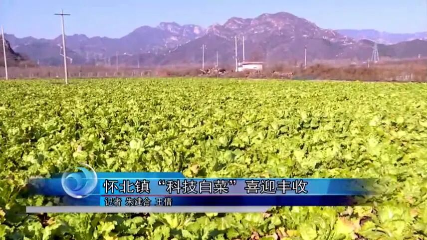【怀柔新闻】我区召开疫情防控工作调度会