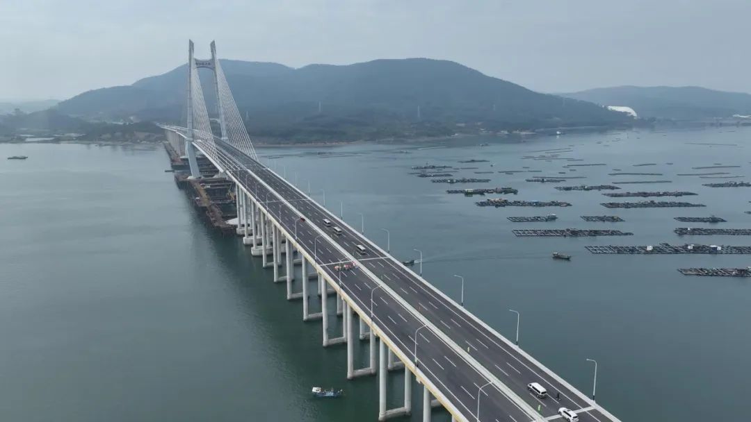 龙腾海陵湾 融湾向未来！阳江港大桥今日通车