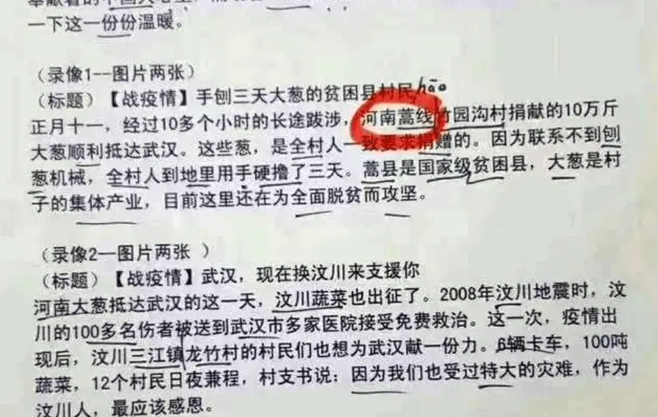 年过40至今未婚的5位央视女主持人，个个才华横溢，太可惜