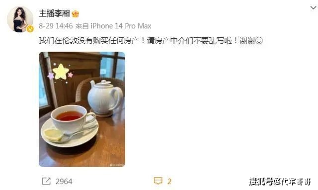 47岁李湘官宣退休，两婚两离，身家过亿，网友：她才是真正人生赢家