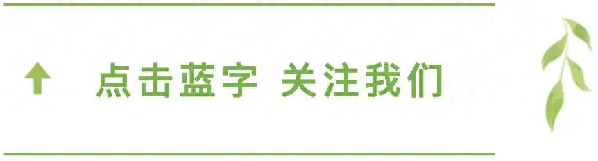 黑龙江女富豪戴秀丽离婚记：123亿身家难抵丈夫对奢侈生活的厌