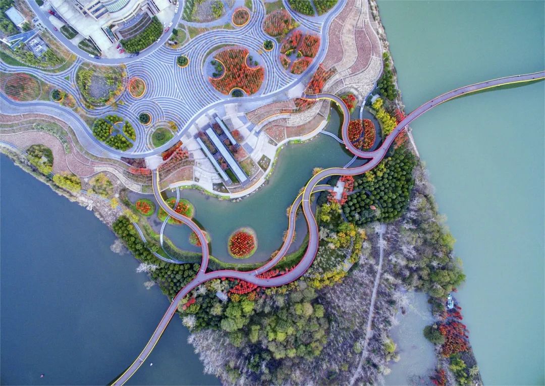 金华举行推进城市园林绿化建设工作新闻发布会