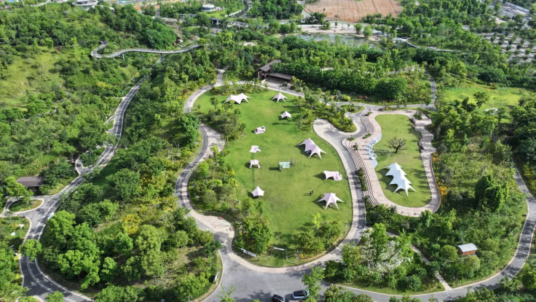 金华举行推进城市园林绿化建设工作新闻发布会