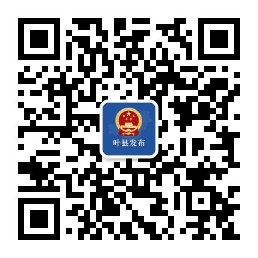 叶县人民政府信息公开指南