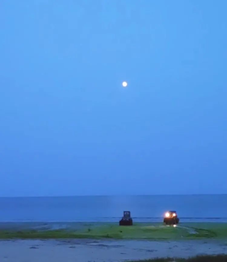 海面变“草原”，散发出臭味？山东乳山银滩浒苔来袭海面成“绿毯”，管理部门回应