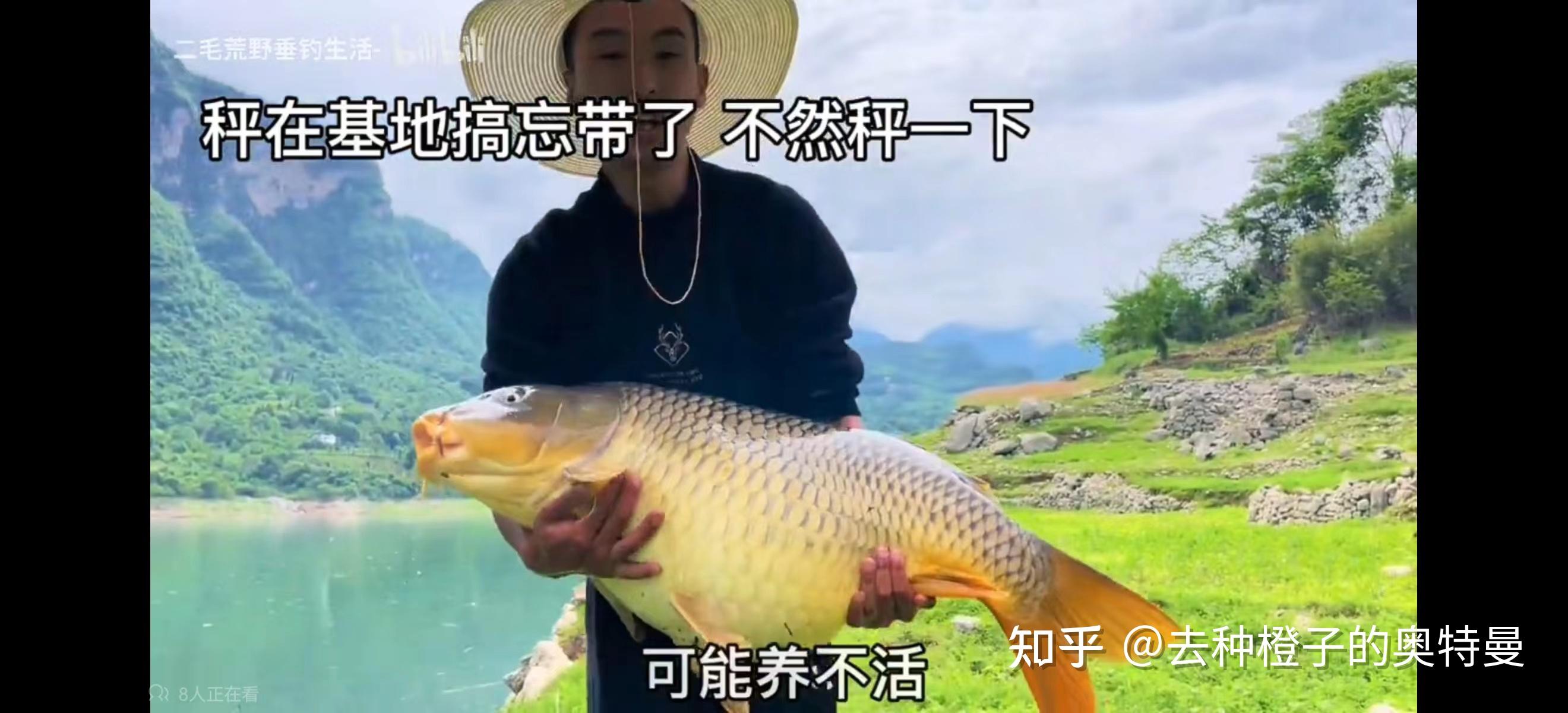 新手钓鱼入门大汇总（超级详细）