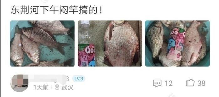 【技巧+找钓点】新手如何快速找钓点的几个方法