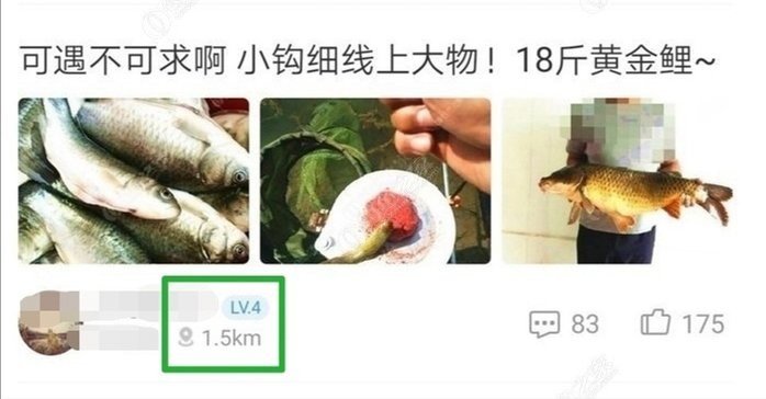 【技巧+找钓点】新手如何快速找钓点的几个方法