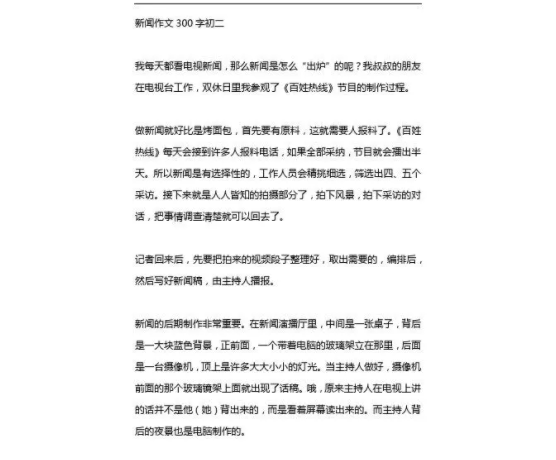 新闻300字
