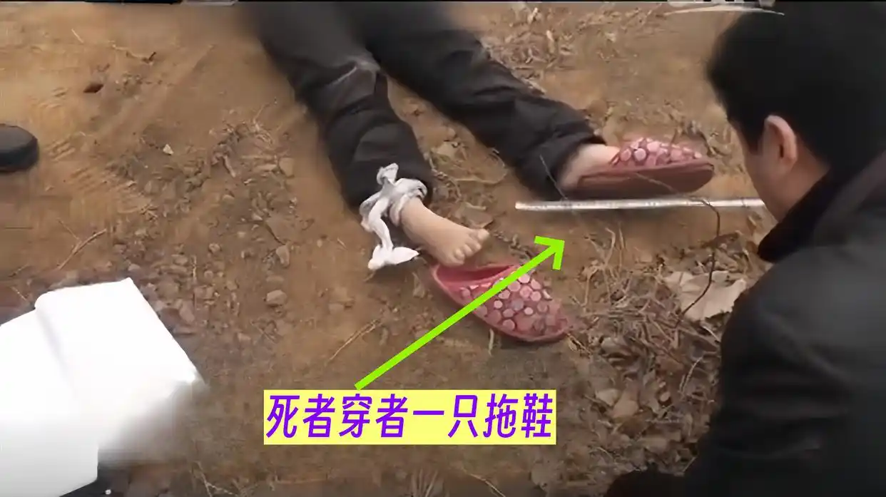 河北大案回顾：母女同一天遇害，女孩生前遭性侵，母亲被丢下水井