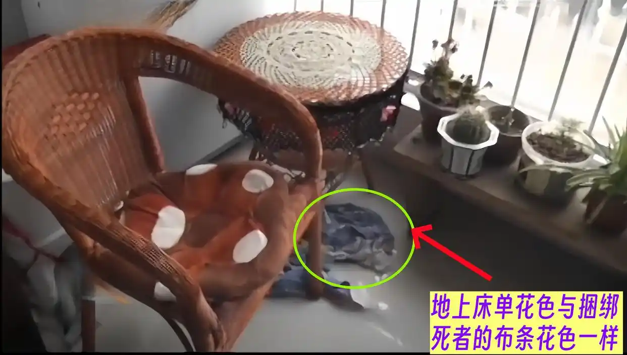 河北大案回顾：母女同一天遇害，女孩生前遭性侵，母亲被丢下水井