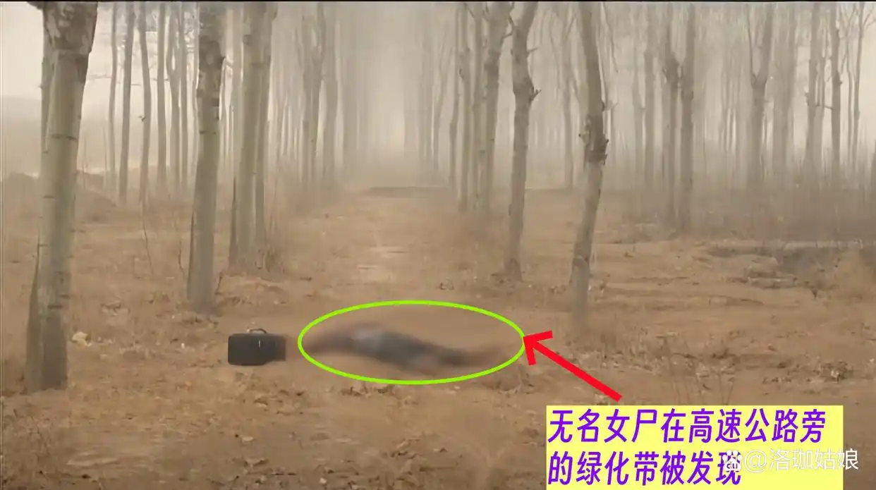 回顾：河北“母女双尸”案，女孩生前遭到性侵，母亲尸体被丢进水井