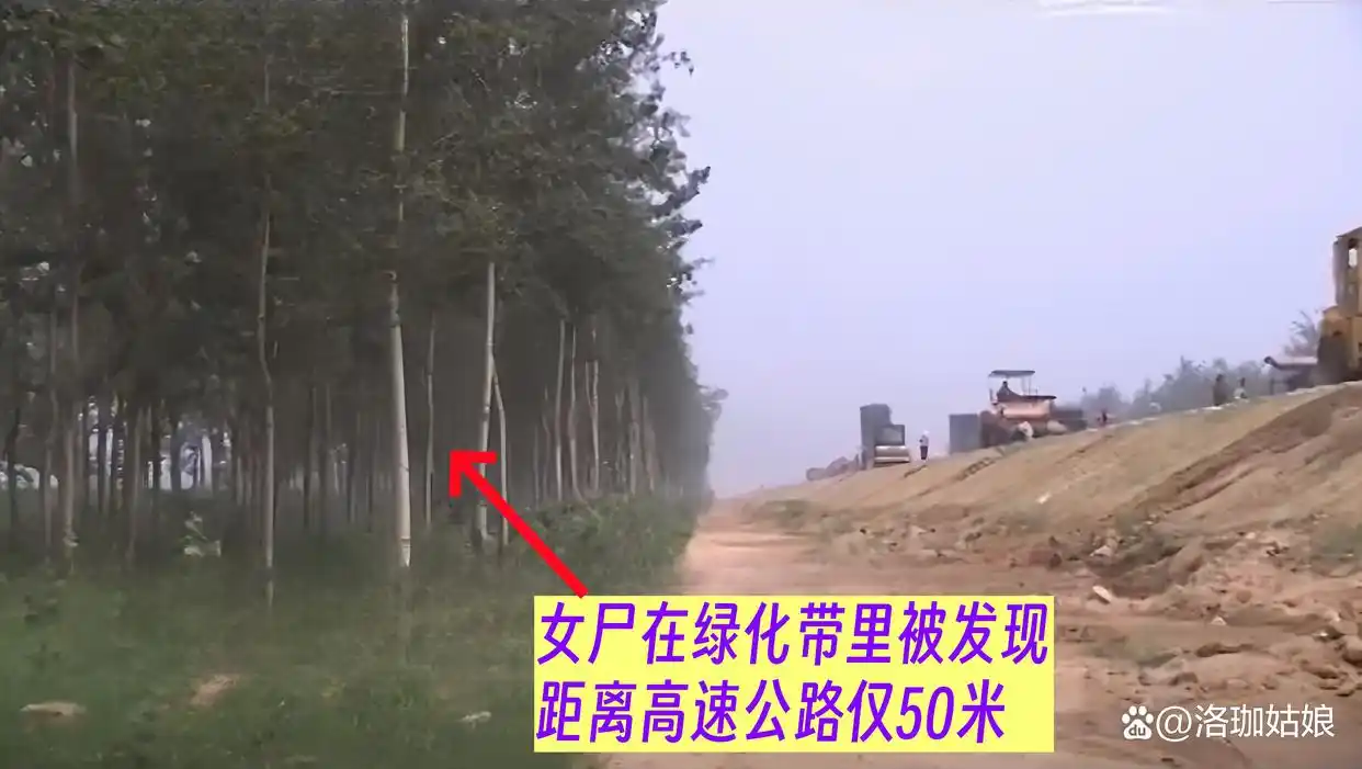 回顾：河北“母女双尸”案，女孩生前遭到性侵，母亲尸体被丢进水井