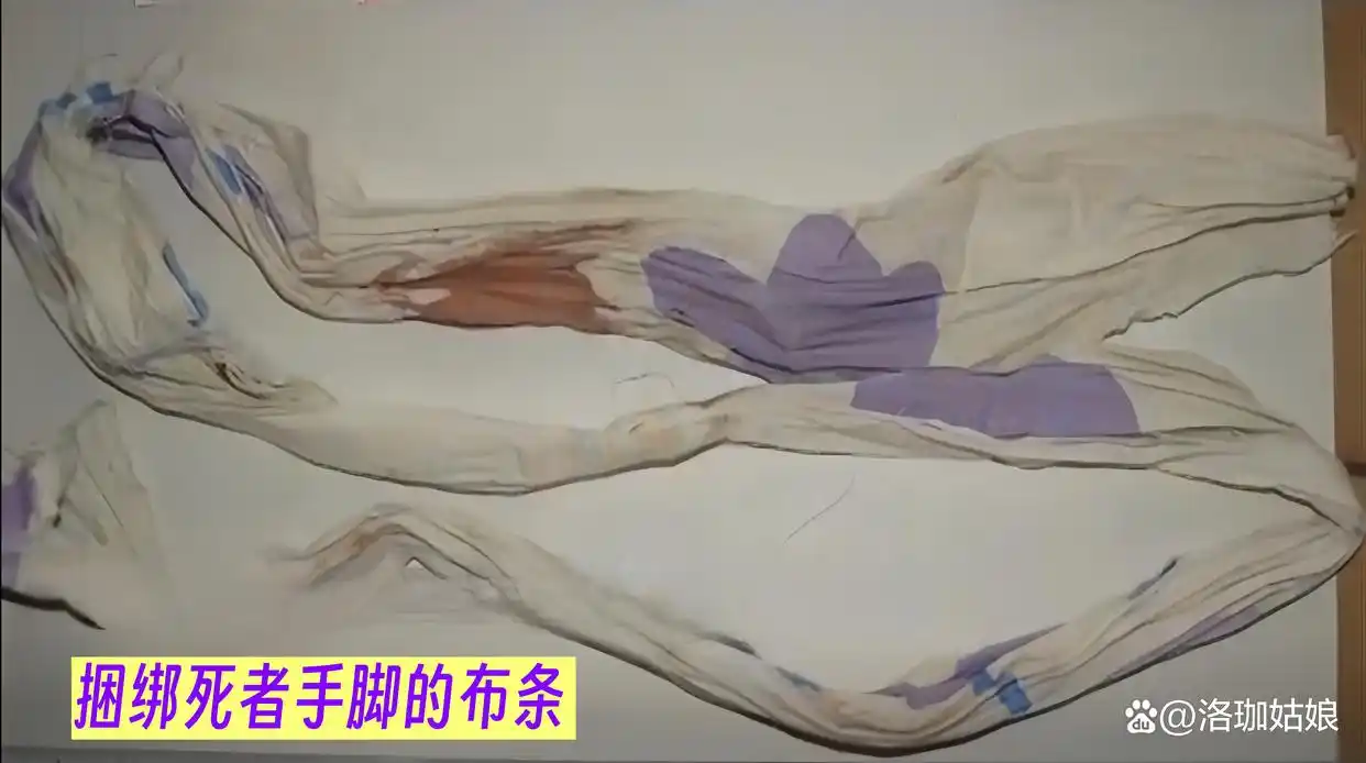 回顾：河北“母女双尸”案，女孩生前遭到性侵，母亲尸体被丢进水井