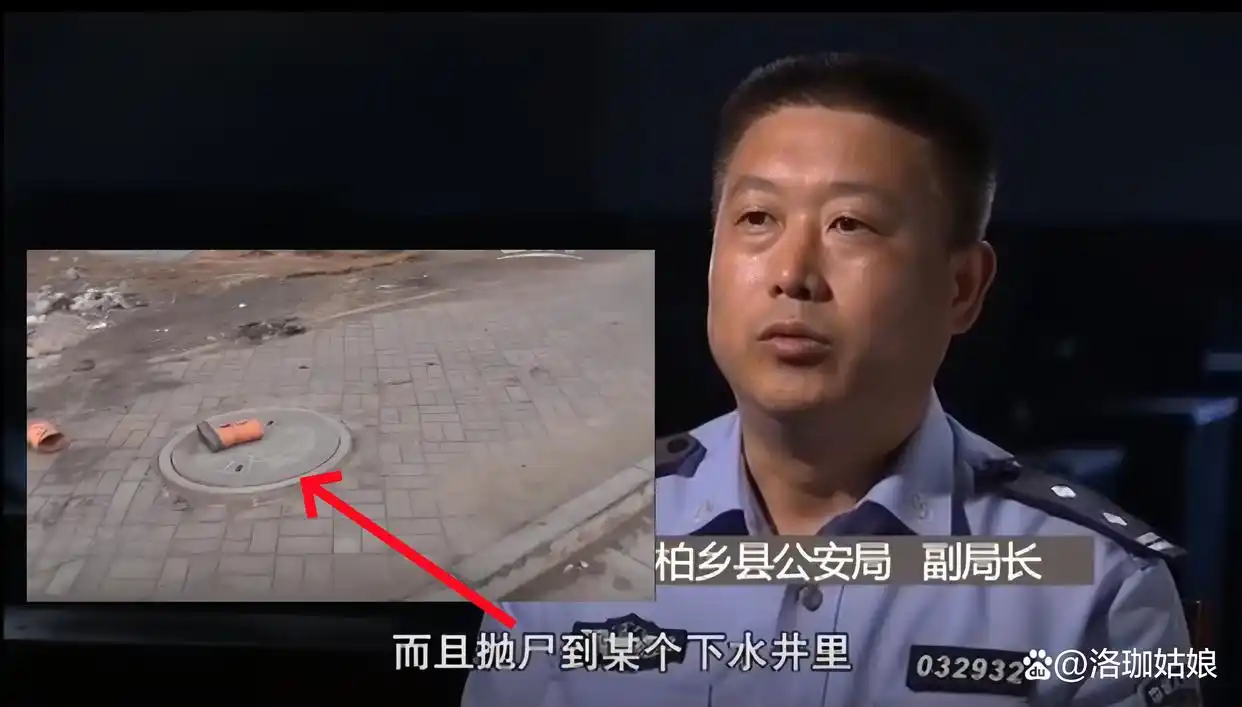 回顾：河北“母女双尸”案，女孩生前遭到性侵，母亲尸体被丢进水井