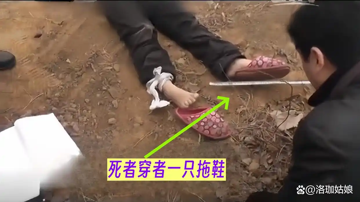 回顾：河北“母女双尸”案，女孩生前遭到性侵，母亲尸体被丢进水井