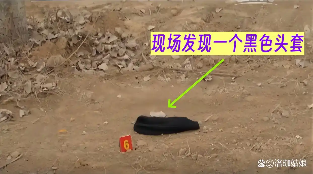 回顾：河北“母女双尸”案，女孩生前遭到性侵，母亲尸体被丢进水井