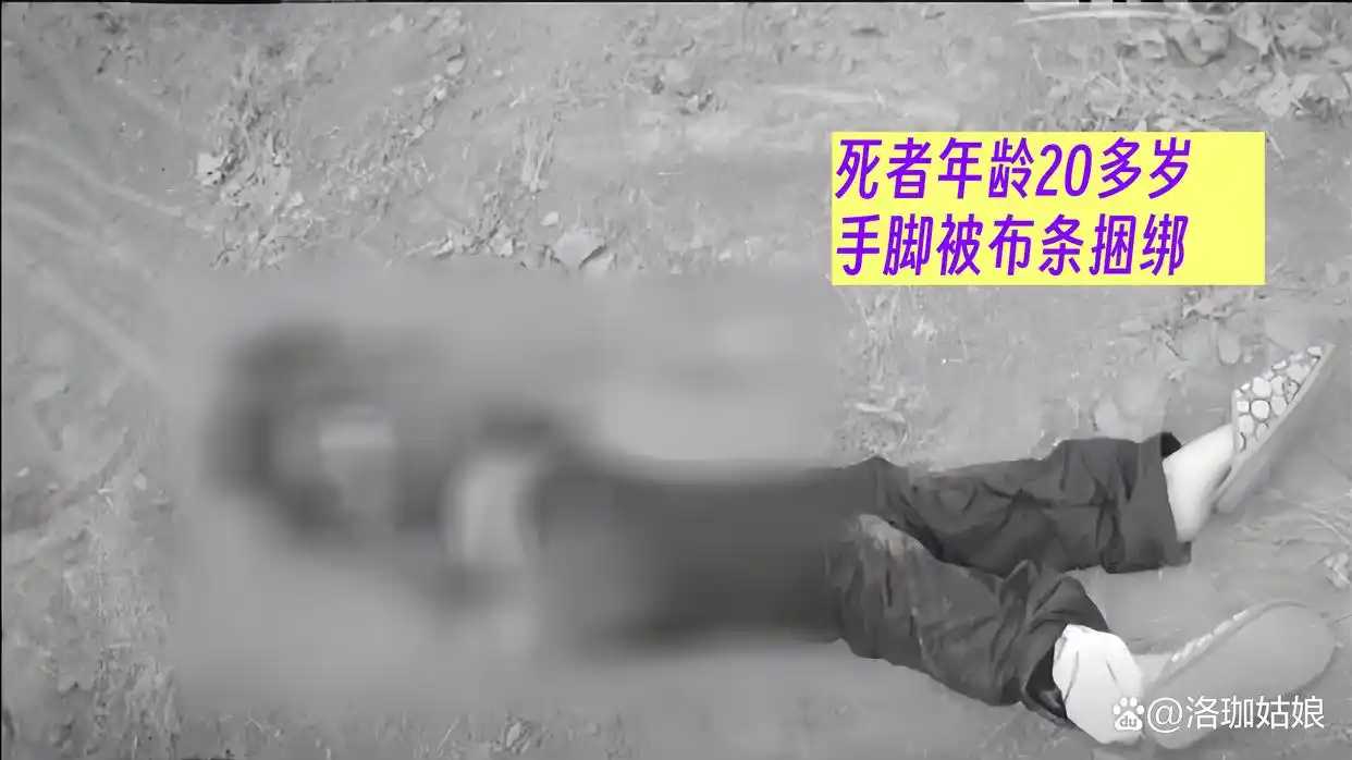 回顾：河北“母女双尸”案，女孩生前遭到性侵，母亲尸体被丢进水井