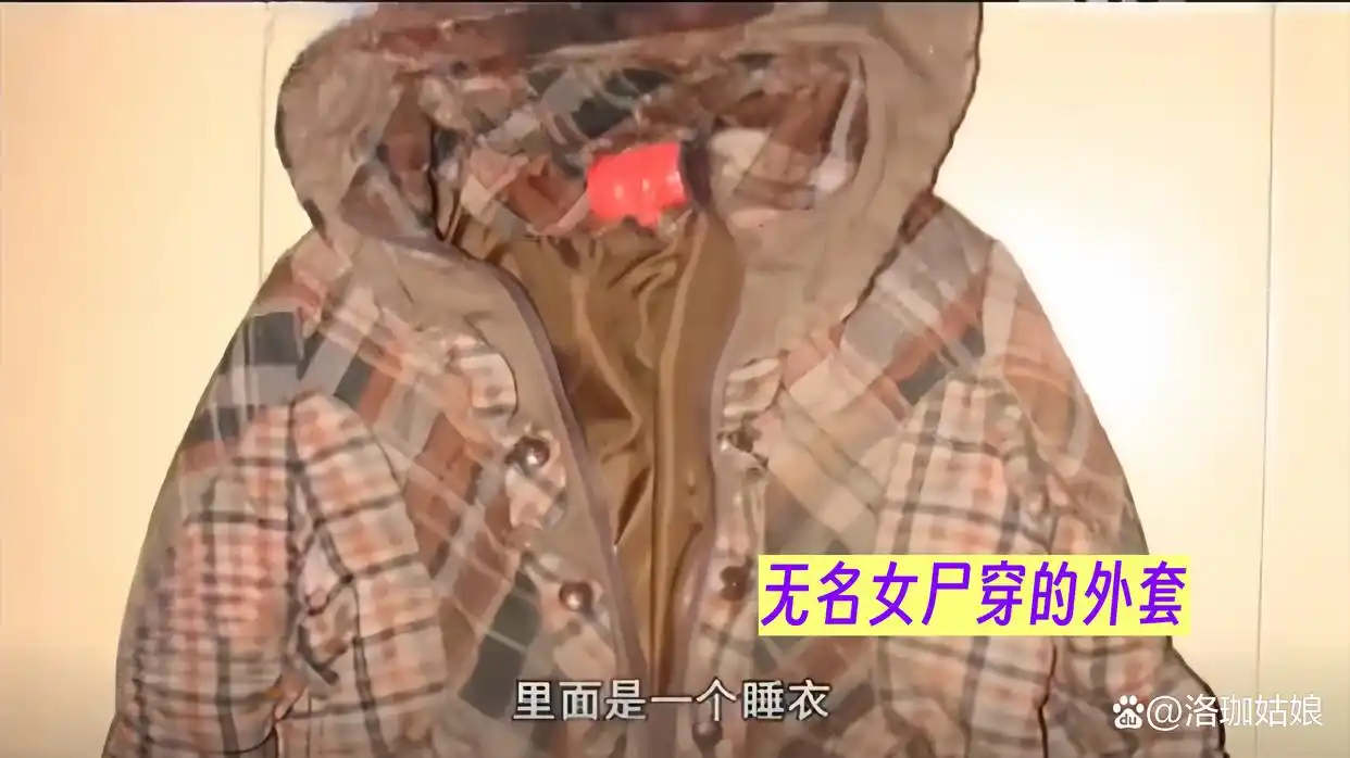 回顾：河北“母女双尸”案，女孩生前遭到性侵，母亲尸体被丢进水井