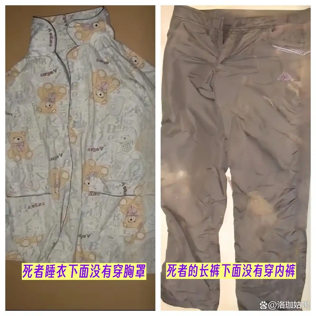 回顾：河北“母女双尸”案，女孩生前遭到性侵，母亲尸体被丢进水井