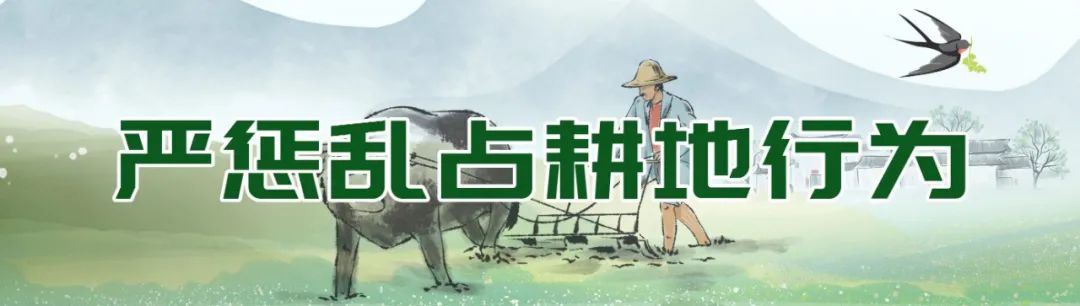 莆田通报９起新增农村乱占耕地建房典型案例