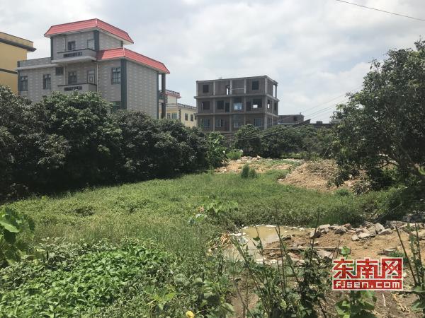 莆田城厢区灵川镇村民反映水塘被填占 回应：村民为清理卫生而填埋