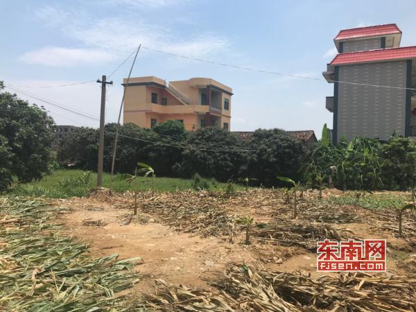 莆田城厢区灵川镇村民反映水塘被填占 回应：村民为清理卫生而填埋