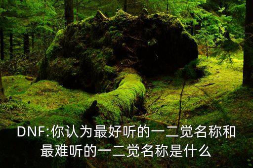 阿修罗二次觉醒叫什么,地下城与勇士阿修罗二次觉醒