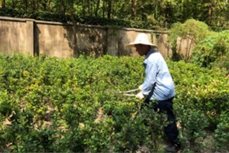 做好准备迎接“萌新”，高校后勤人这样做
