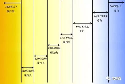太阳的光和灯光有什么区别_【龙鱼圈】水中灯、顶灯对龙鱼的影响， 三基色和LED区别及灯的排放位置