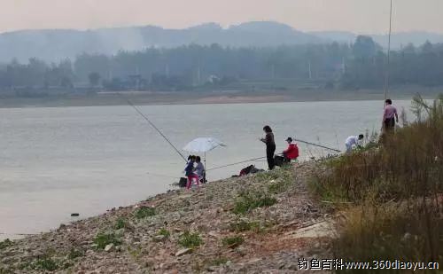 水库钓鱼的好处，你知道多少？+