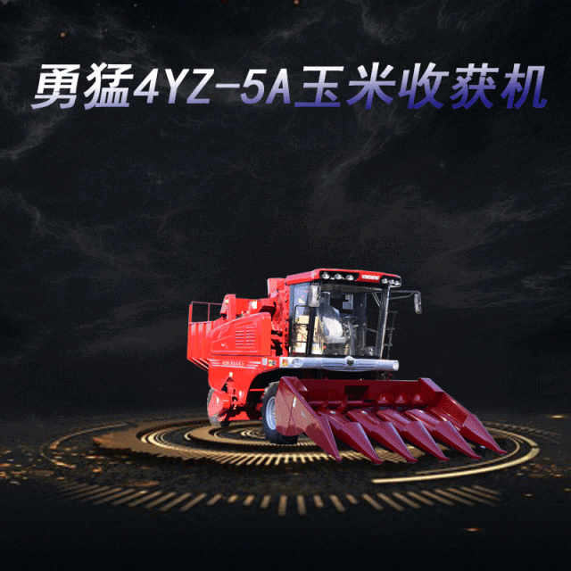 迎难而上，敢为人先