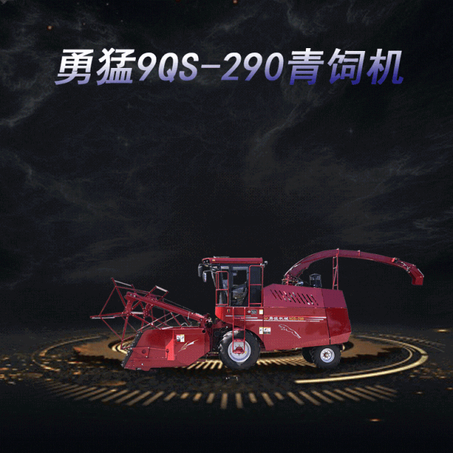 迎难而上，敢为人先