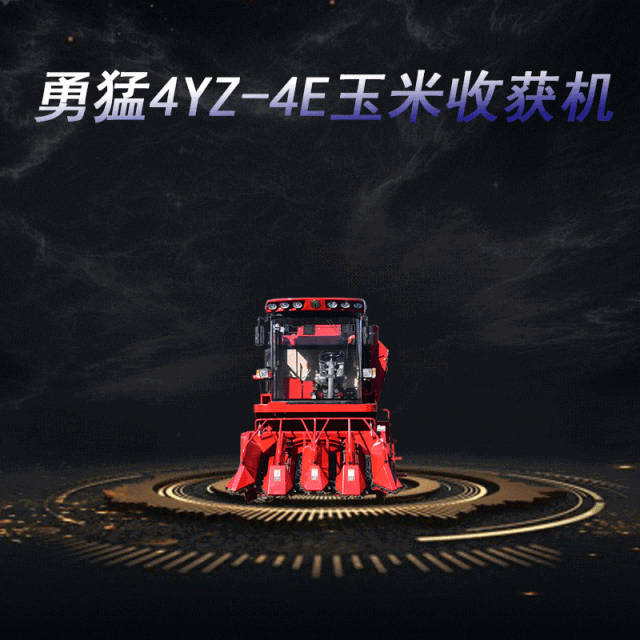 迎难而上，敢为人先