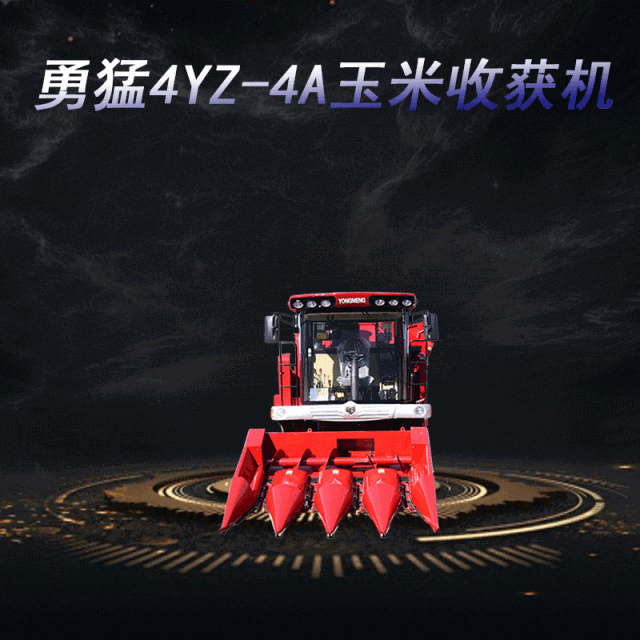 迎难而上，敢为人先