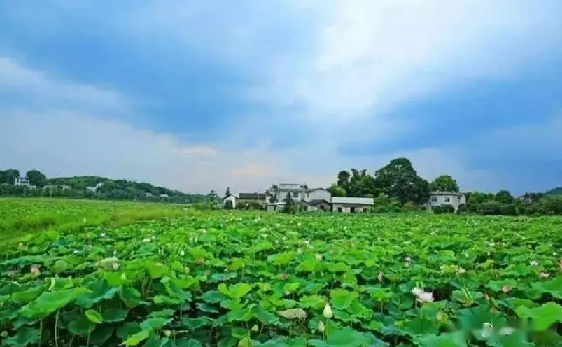 株洲最值得打卡的十大景点，全部去过才算真正玩转株洲