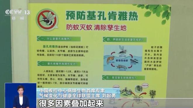 广东七天新增2940例，基孔肯雅热啥来头？紧急提醒：感染后不要用这种常见药！或加重关节损伤