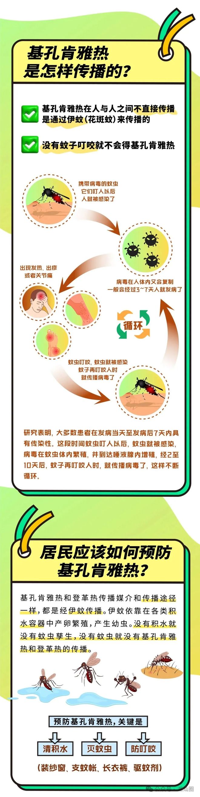 最新通报：潮州发现2例！无特效药！广东一地发布基孔肯雅热后遗症告知书