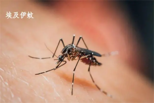 确诊超2000例！广东疾控深夜提醒→