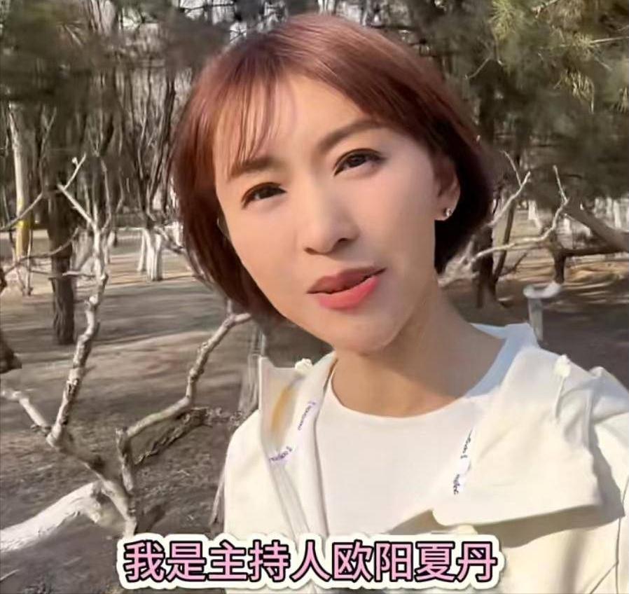 消失5年，央视“国脸”欧阳夏丹成功转行！背后原因让千万人落泪